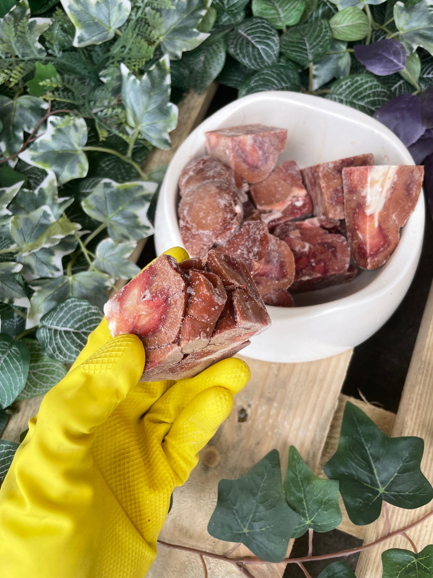 Kidney chunks