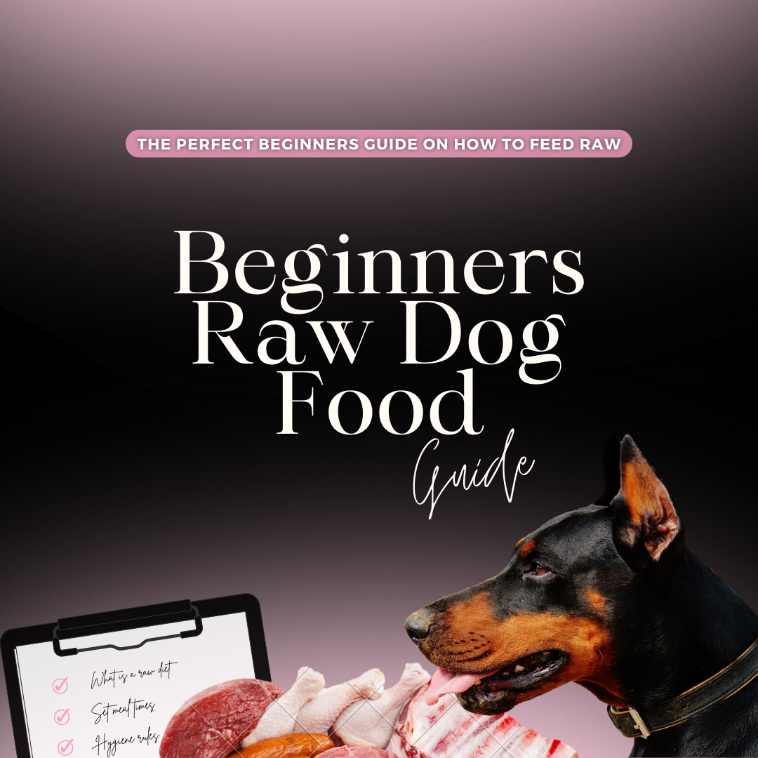 Beginners Raw Dog Food FULL Guide