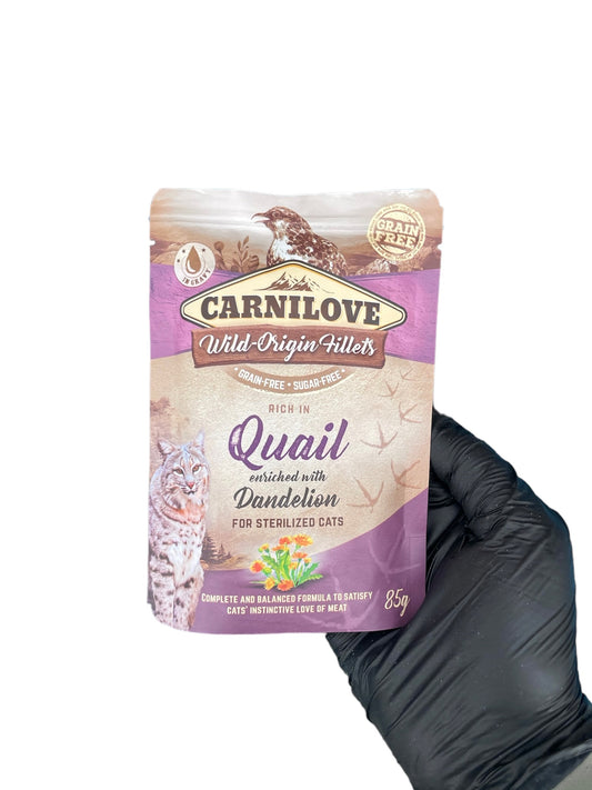 Quail with dandelion wet cat food pouch
