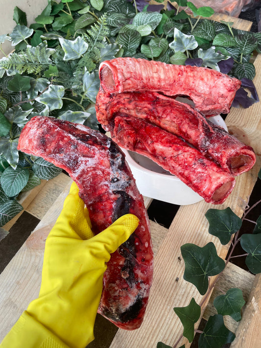Beef Tracheas raw