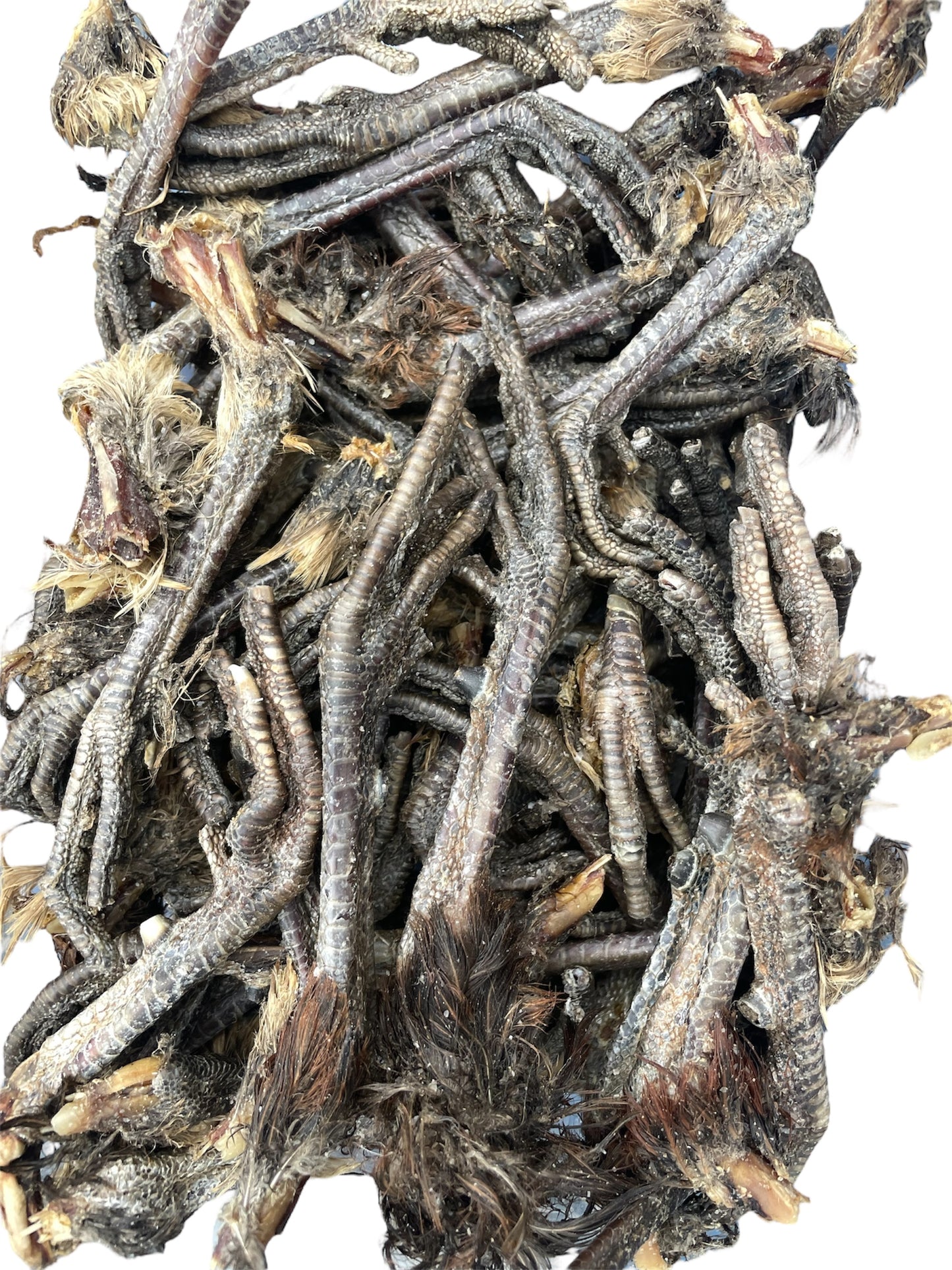 Pheasant feet