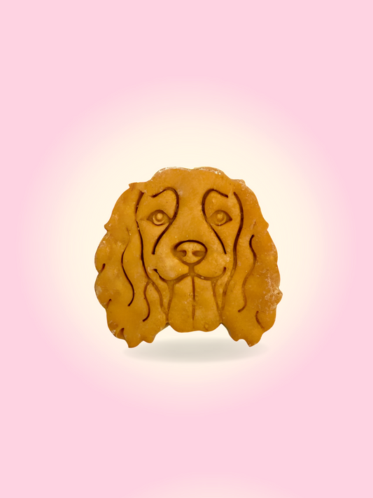Springer spaniel Peanut butter cookie