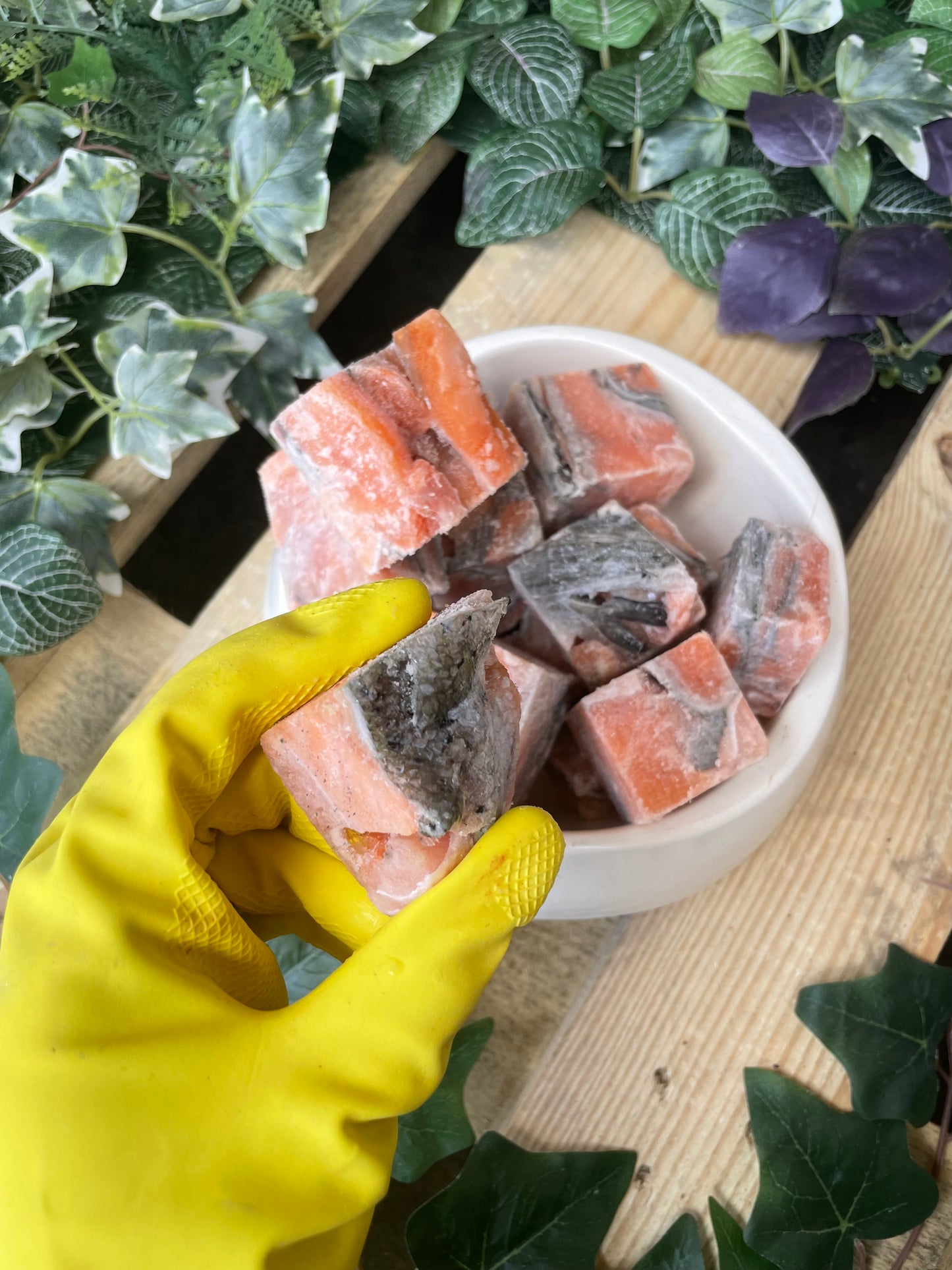 Salmon chunks