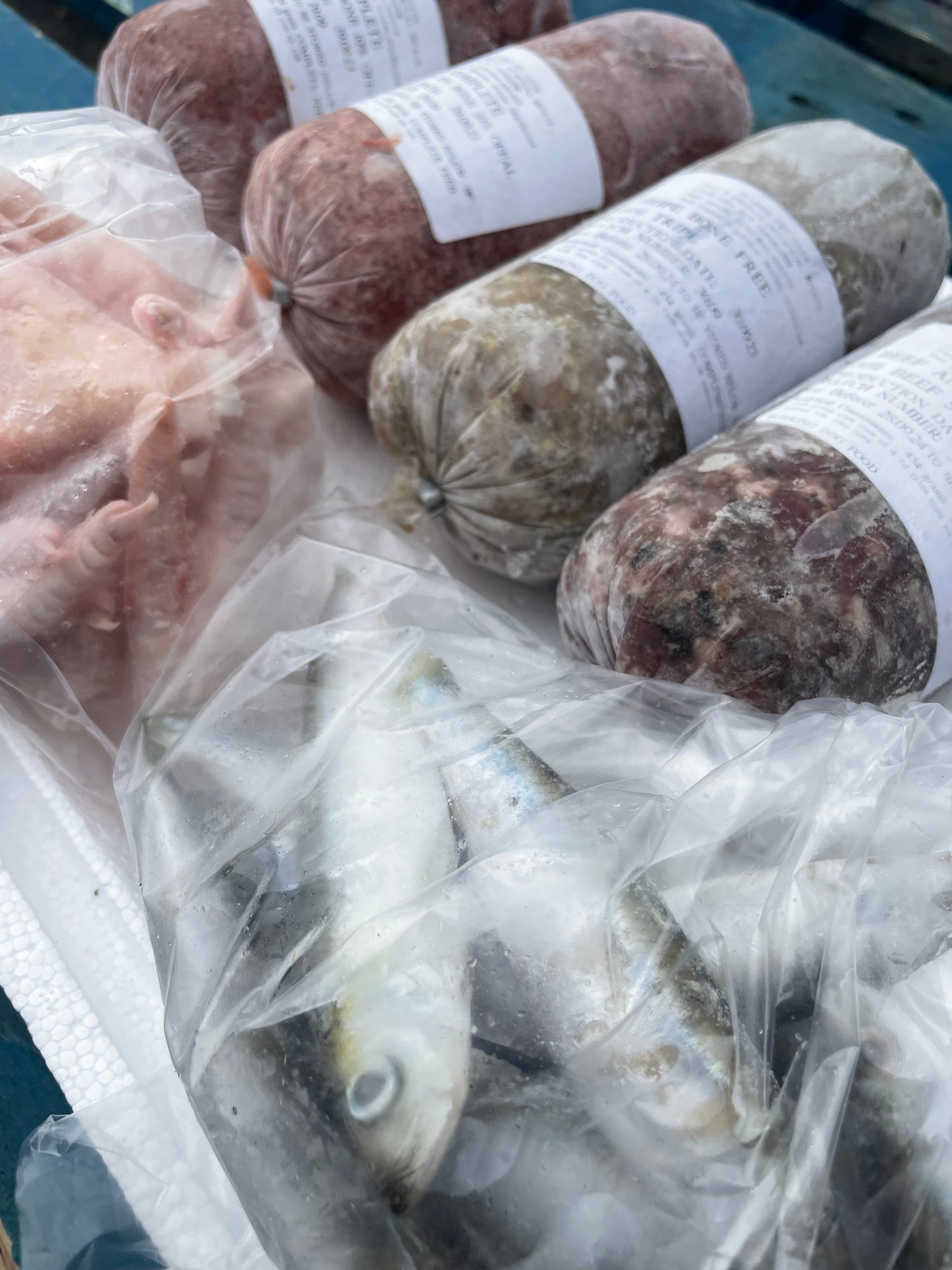 Raw Dog food Starter Taster Kit