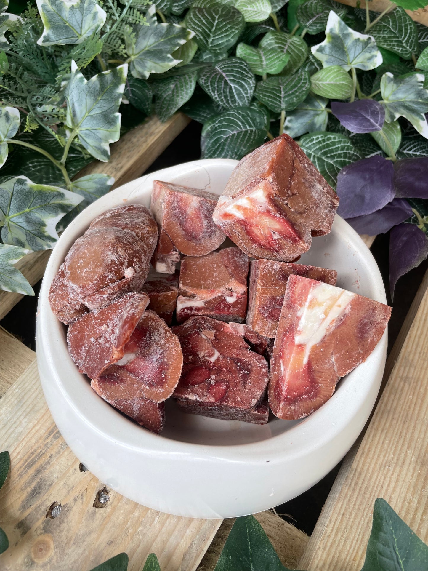 Kidney chunks
