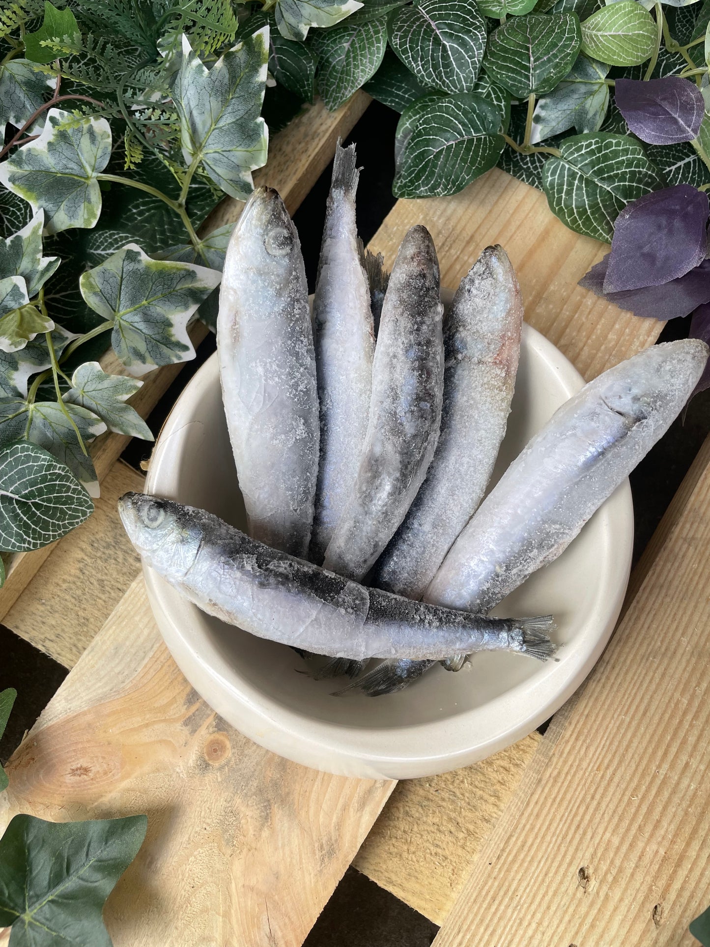 Sardines 1kg
