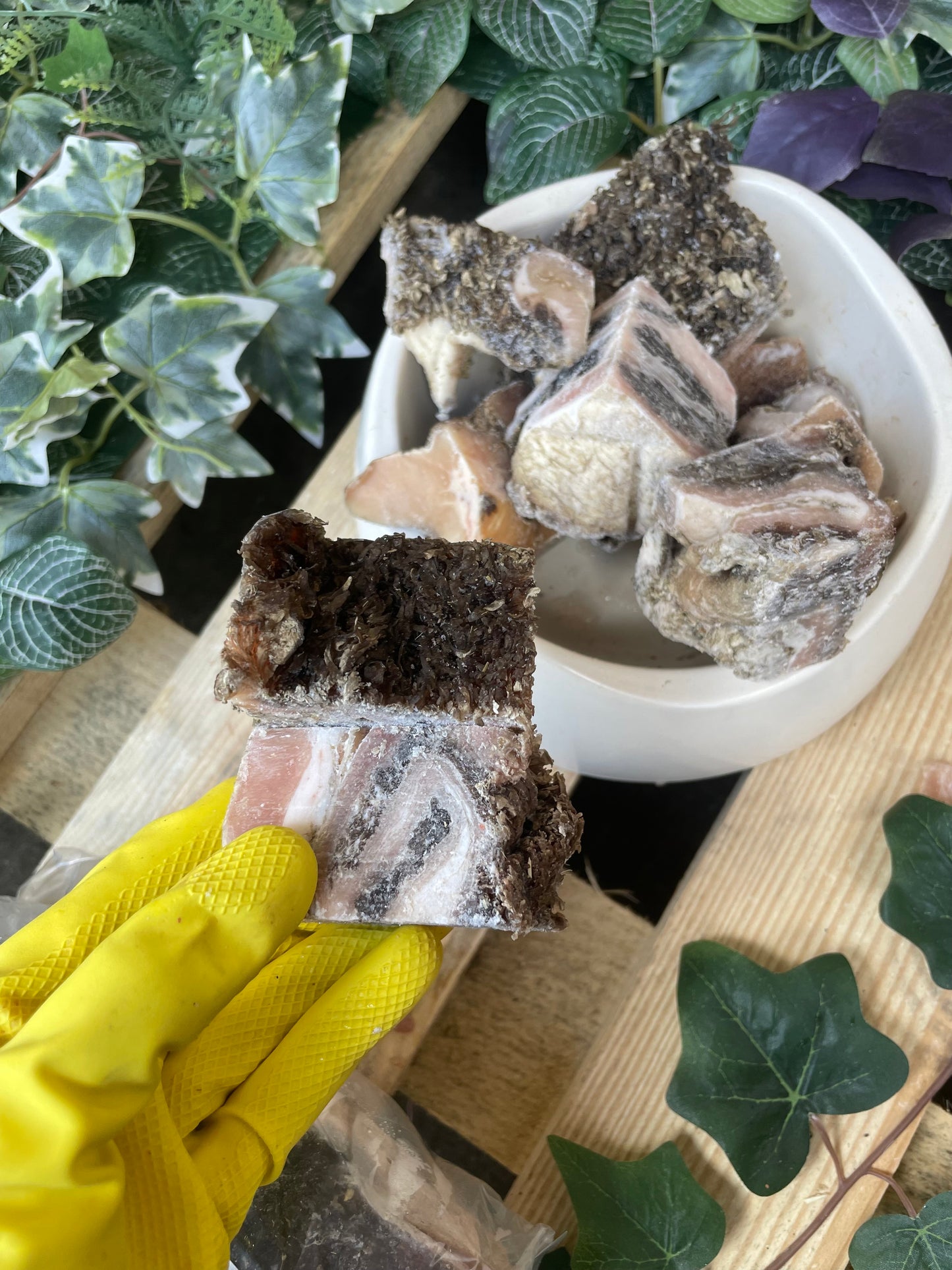 Green Tripe chunks