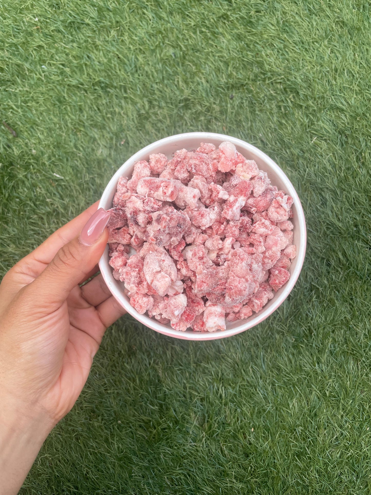 Chicken freeflow raw mince daf 1KG