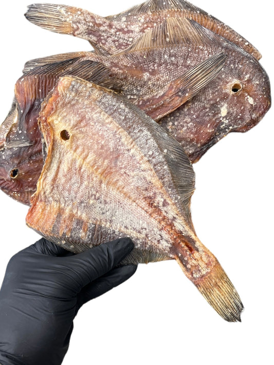 Whole Plaice fish dried