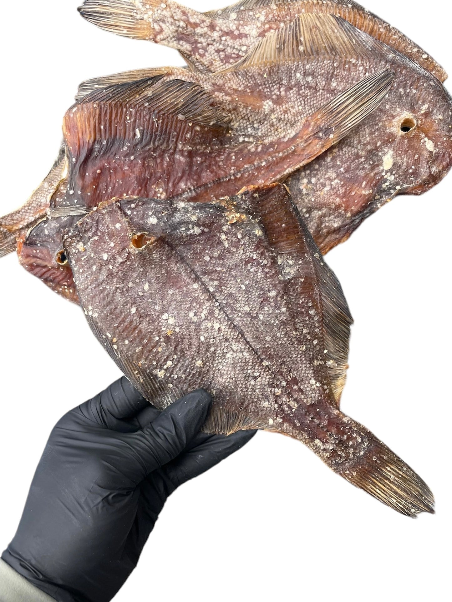 Whole Plaice fish dried