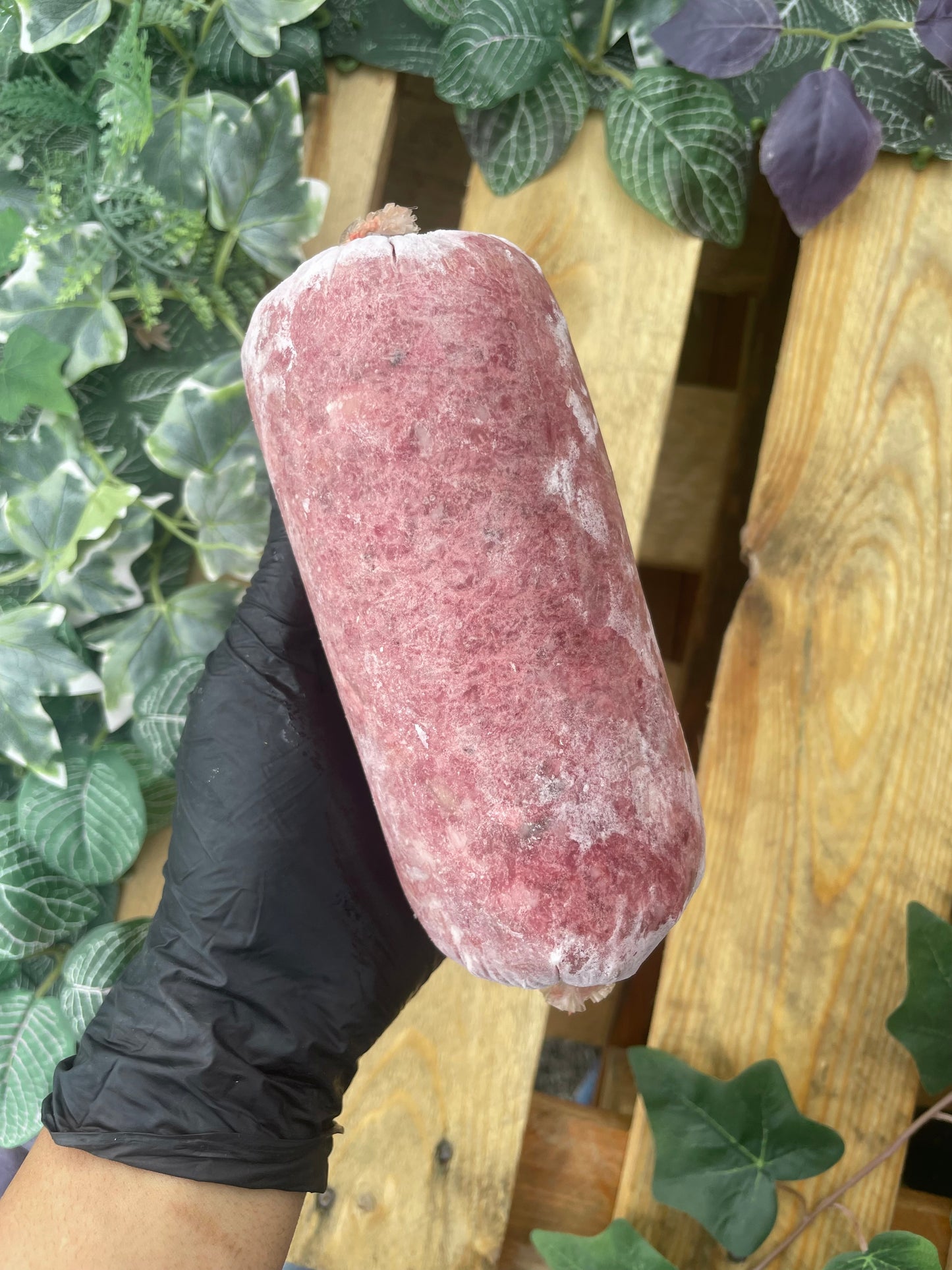 Chicken & salmon complete 454g