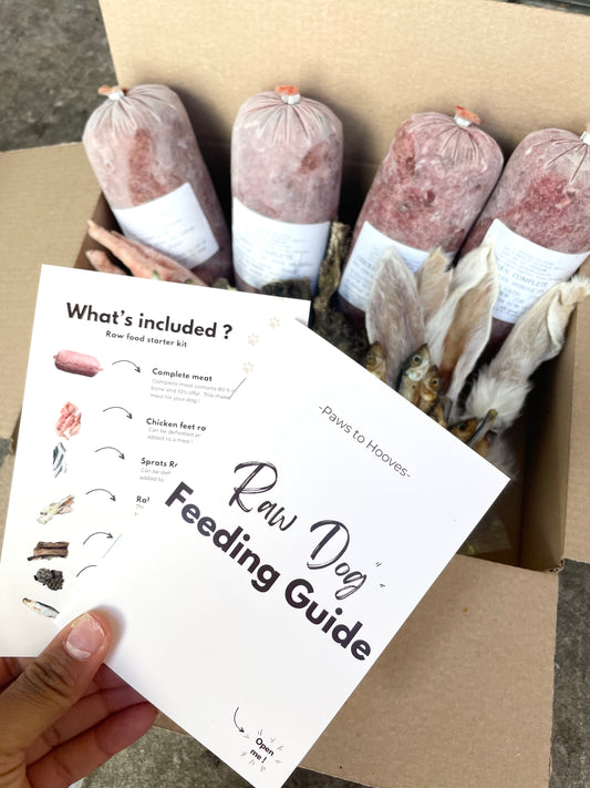 Raw Dog food Starter Taster Kit