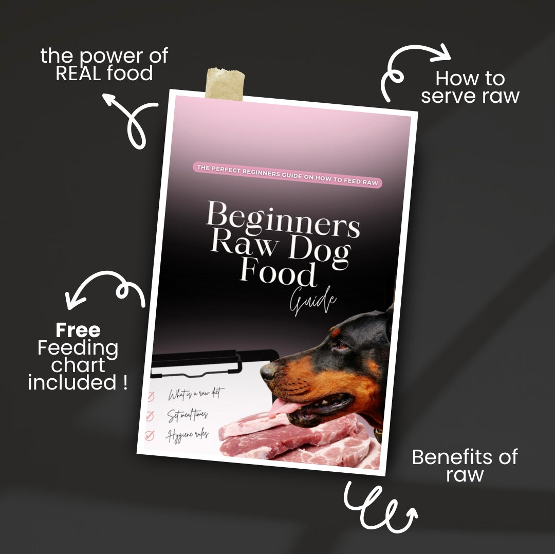 Beginners Raw Dog Food FULL Guide