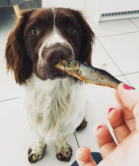 Dried sprats