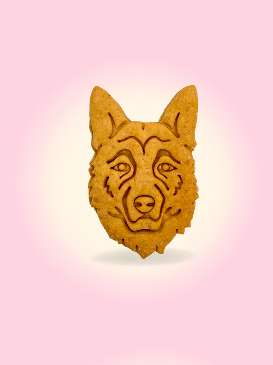 Alsatian Peanut butter cookie