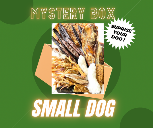 Small dog Mystery box