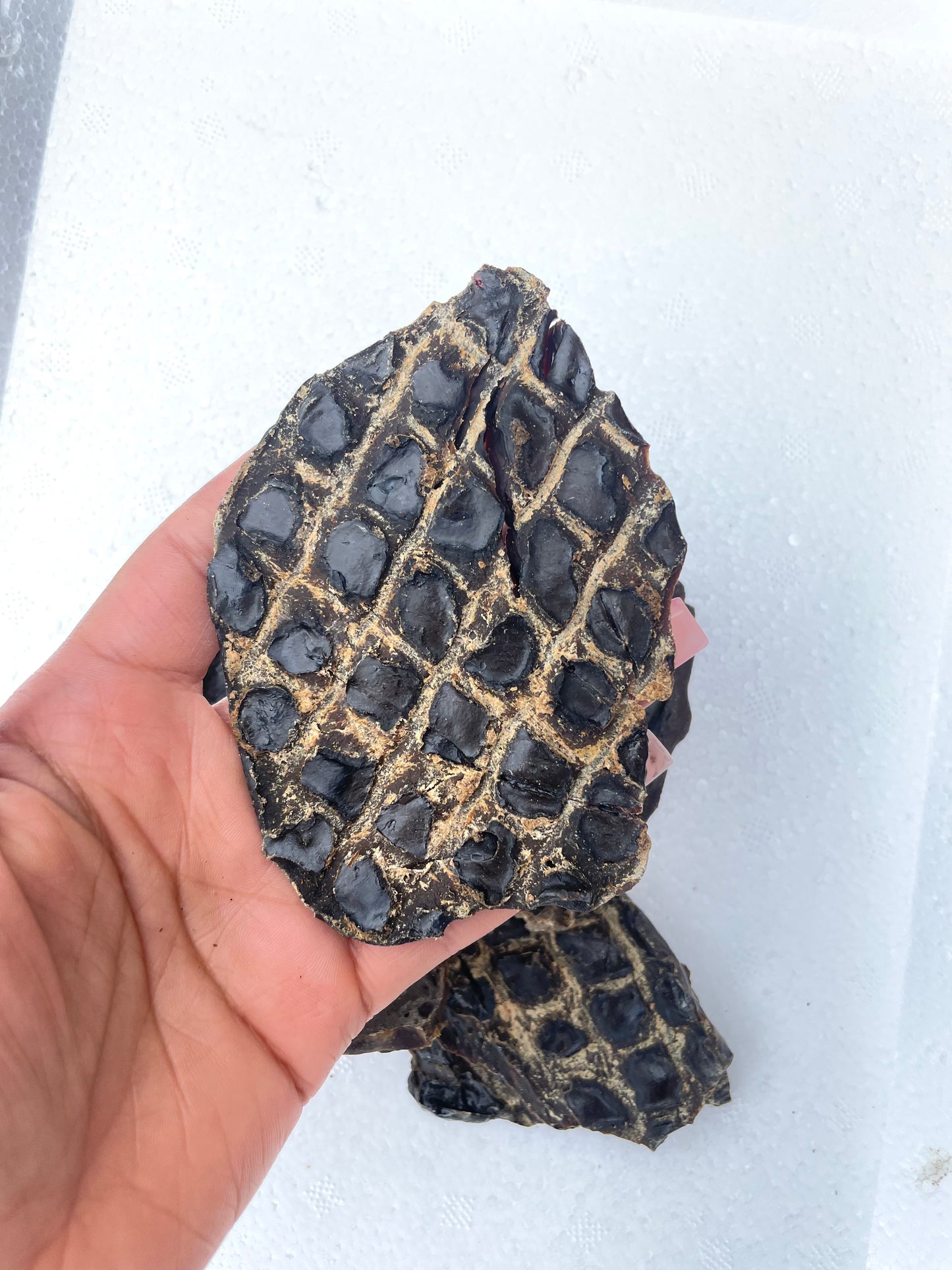 Dehydrated liver jerky