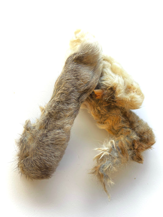 Rabbit Feet