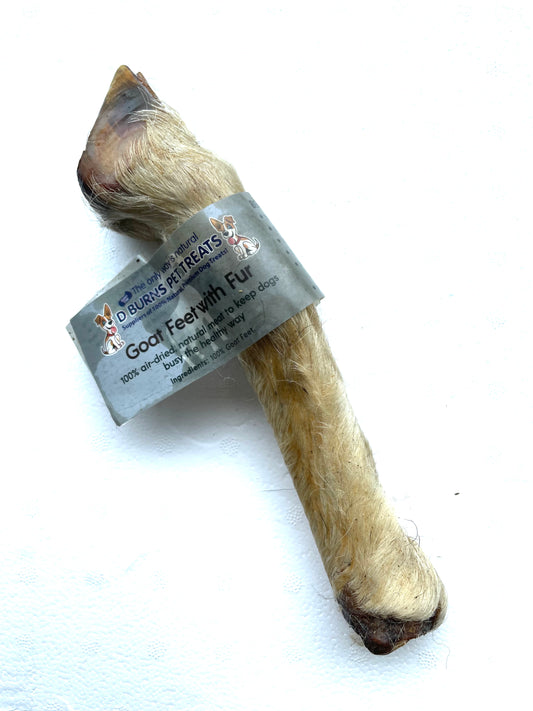 Goat Trotter / feet with fur