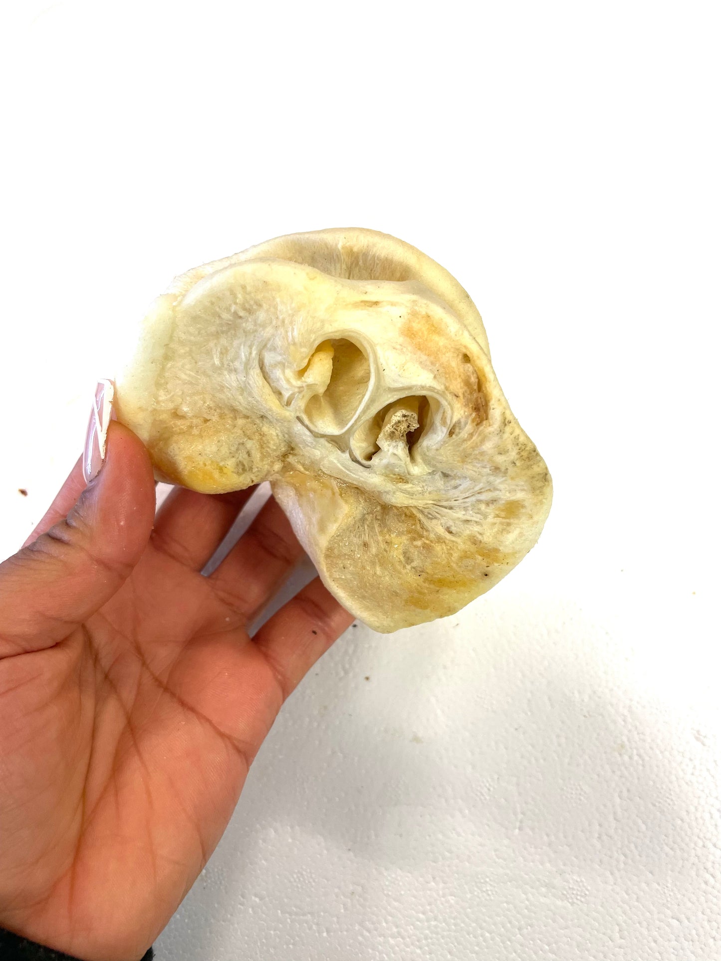 Puffed pig snouts