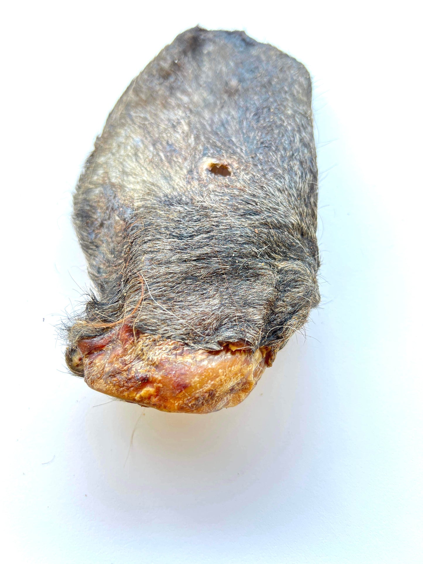 Cow Ear With Hair