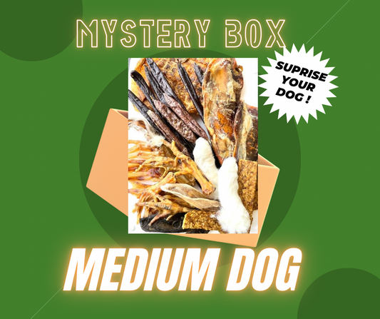 Medium dog Mystery box