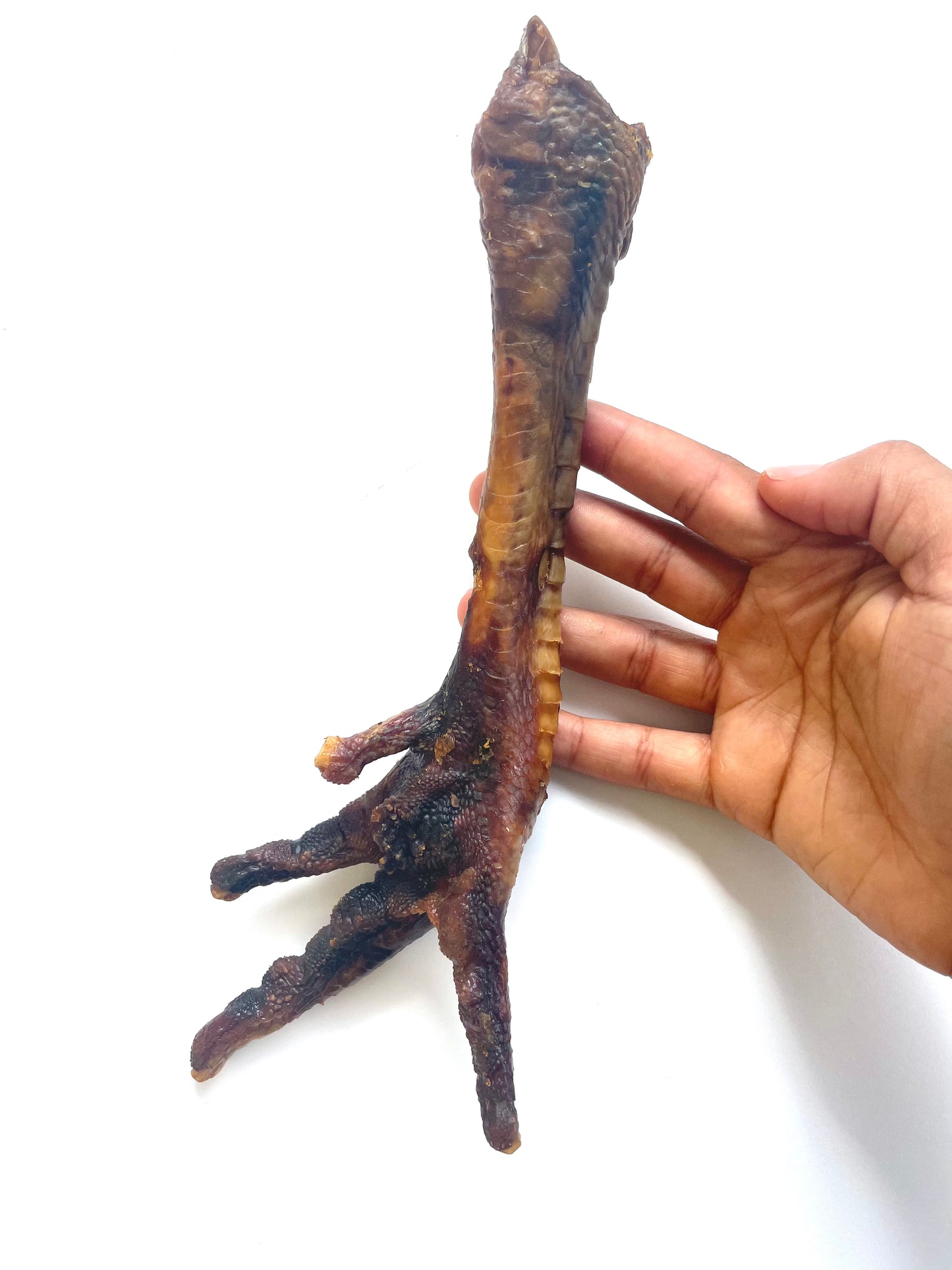 Turkey leg