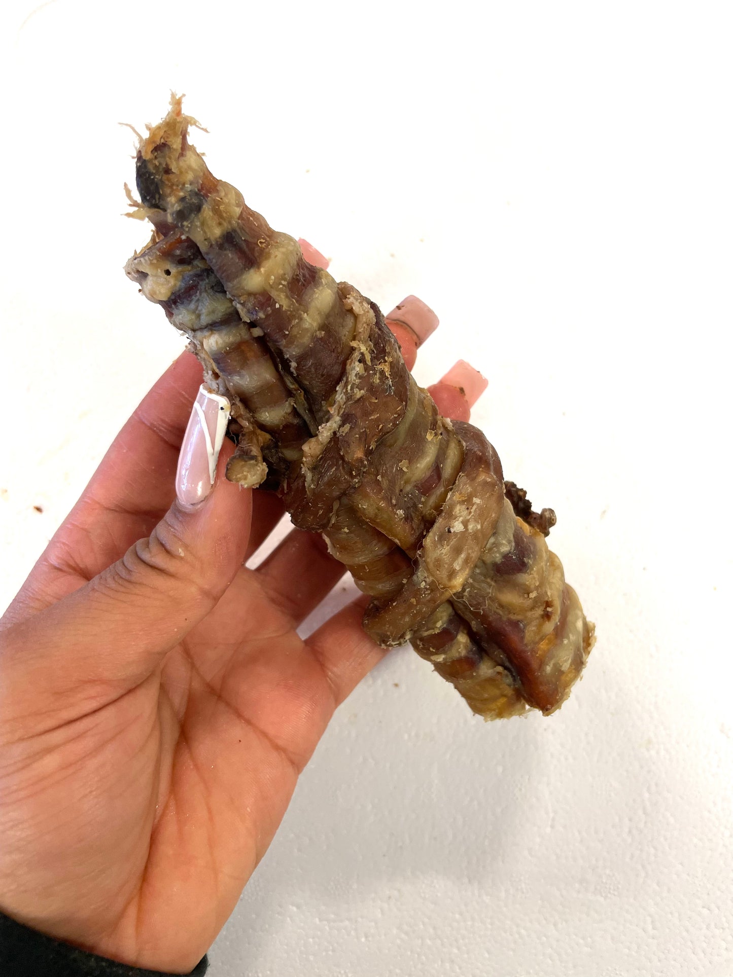 Gullet wrapped Trachea