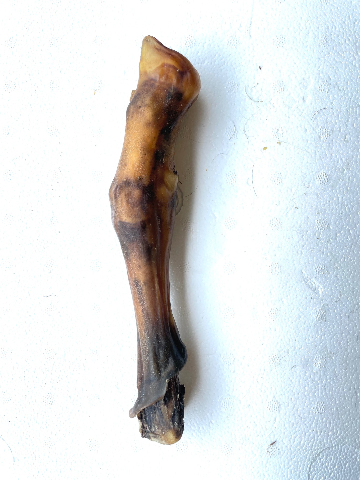 Goat trotter without fur