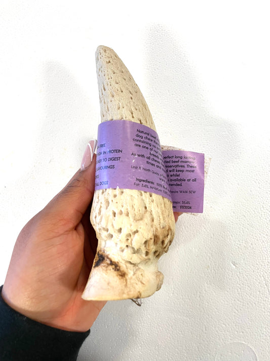 Beef marrow Horn