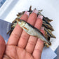 Hollings dried sprats