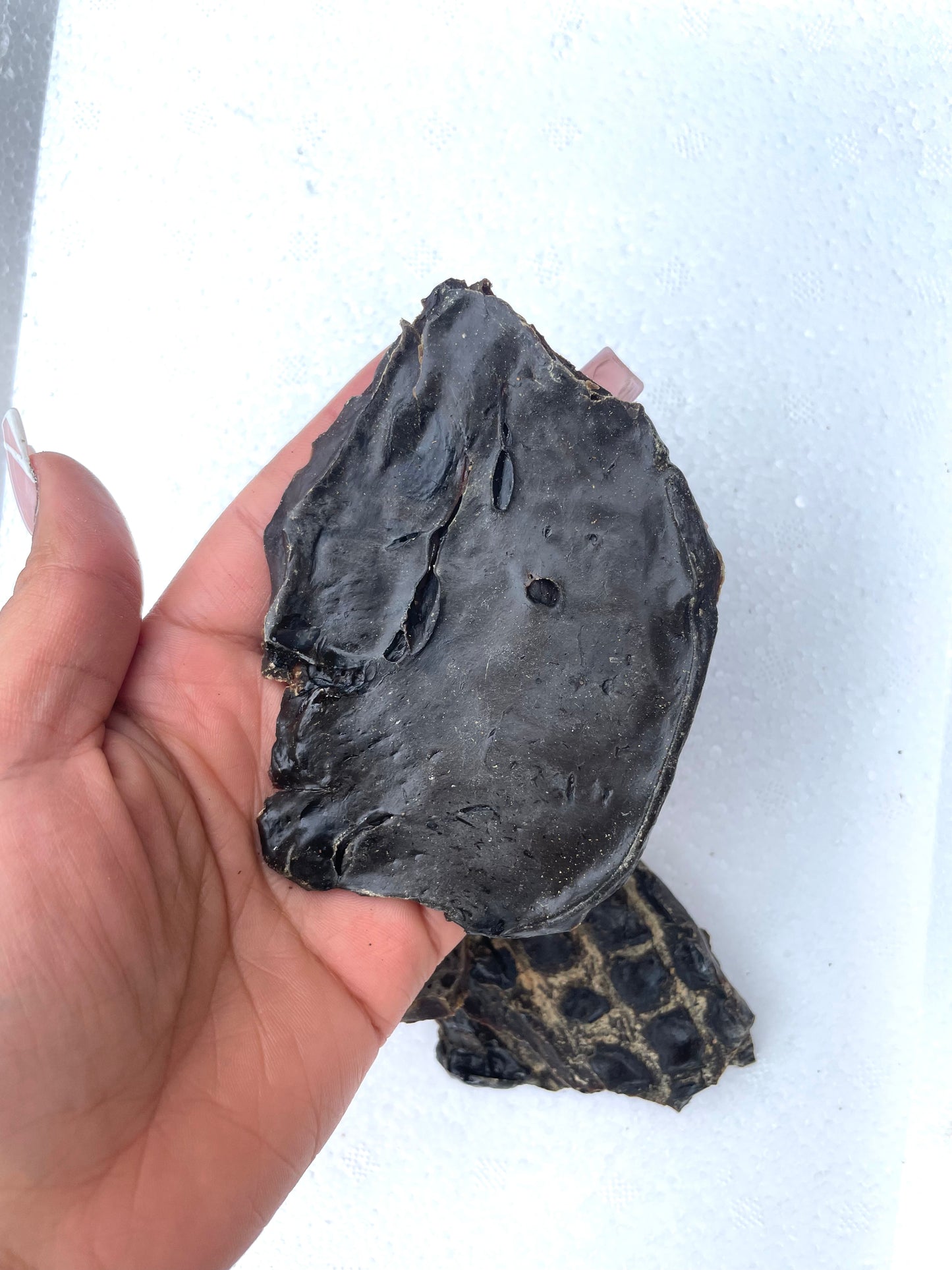 Dehydrated liver jerky