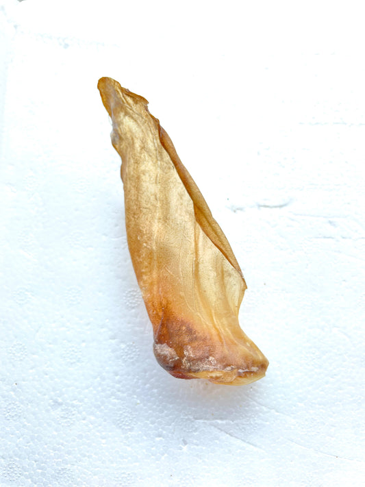 Lamb Ears without fur