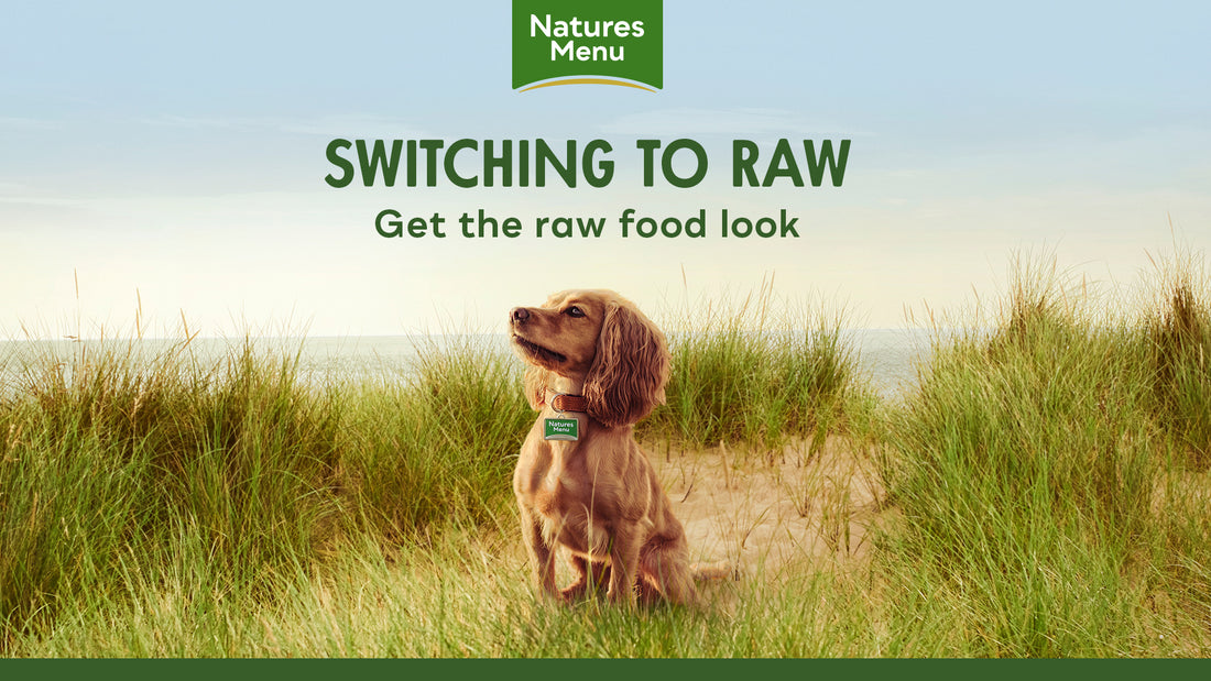 Benefits of Raw feeding