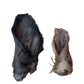 Cow Ear With Hair