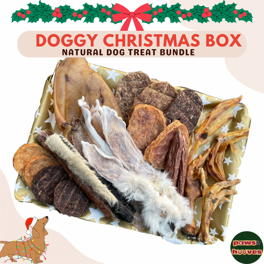 Christmas Natural Dog Treats box Gift Wrapped