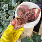 Kidney chunks