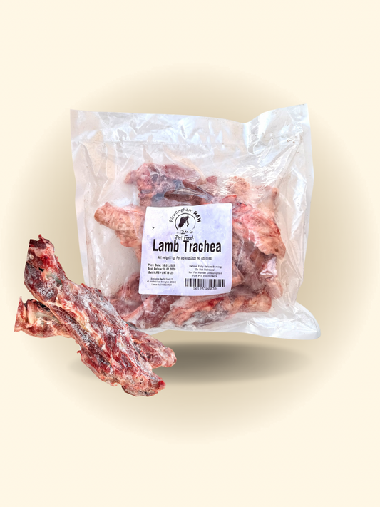 Lamb trachea raw