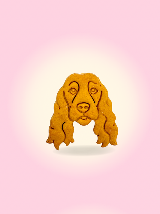 Show Cocker Peanut butter cookie