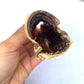 Hollow Beef Trachea