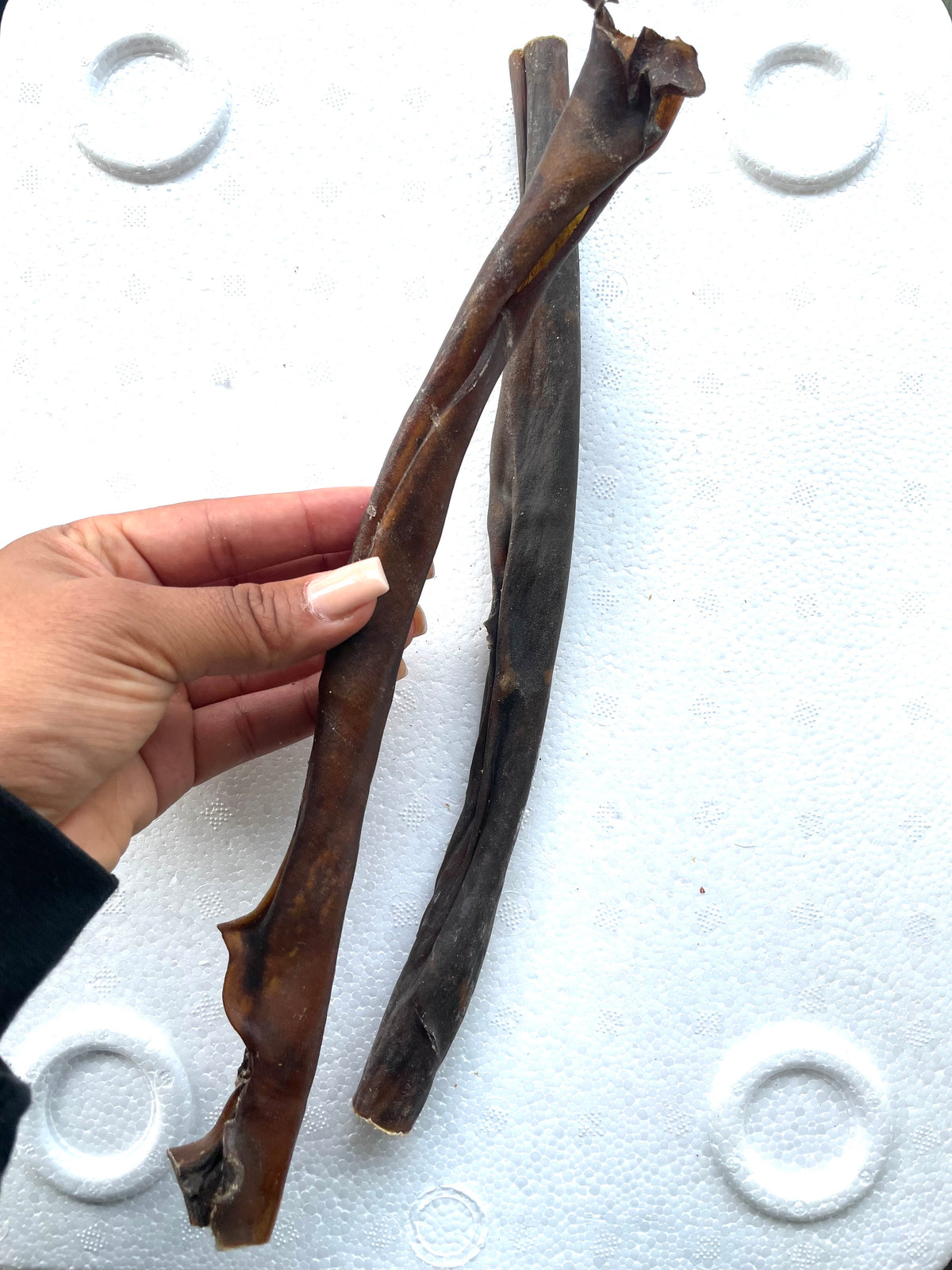 Camel skin large