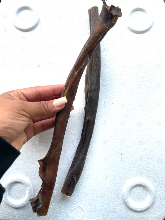 Camel skin large