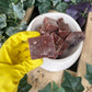 Liver chunks