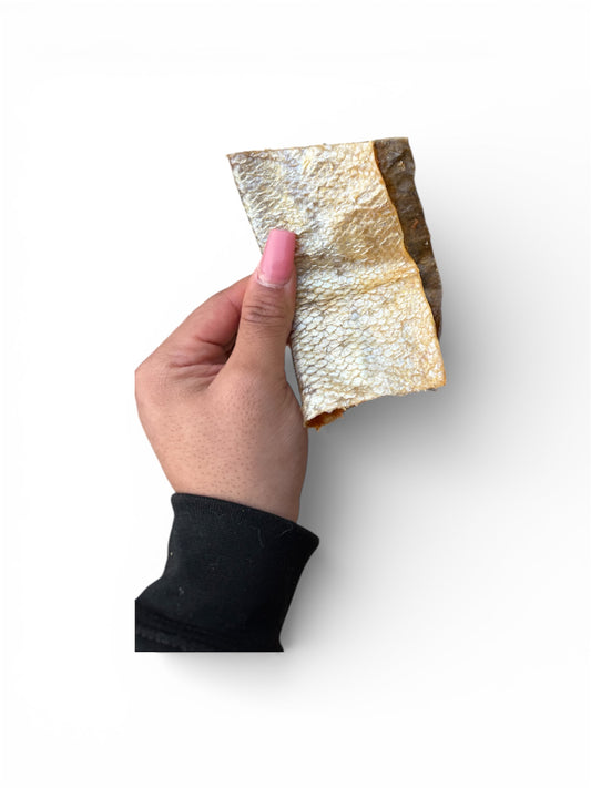 Salmon skin jerky