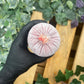Complete Box Raw meat 20 x 454g