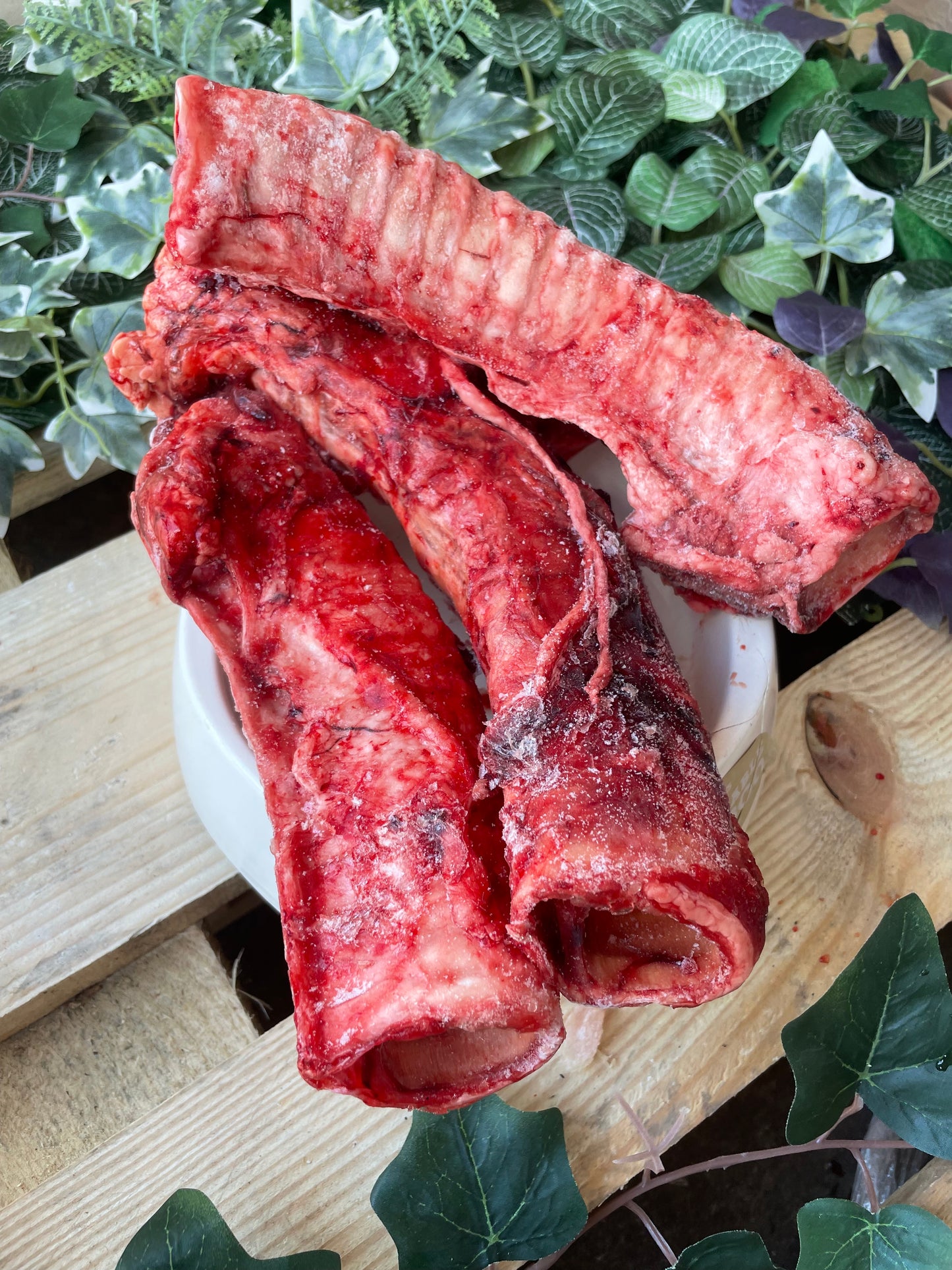 Beef Tracheas raw