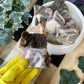 Green Tripe chunks