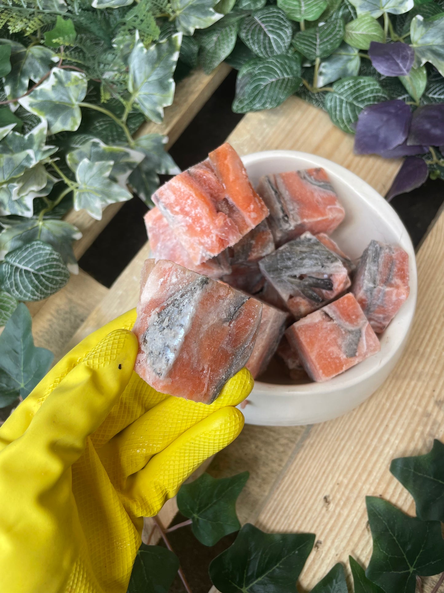 Salmon chunks