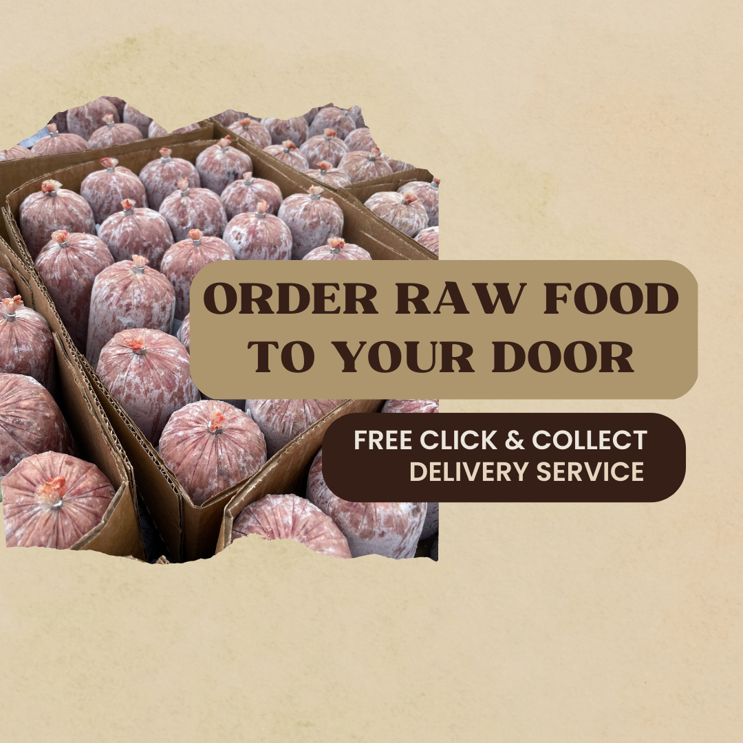 Feeding raw pig sales feet to dogs