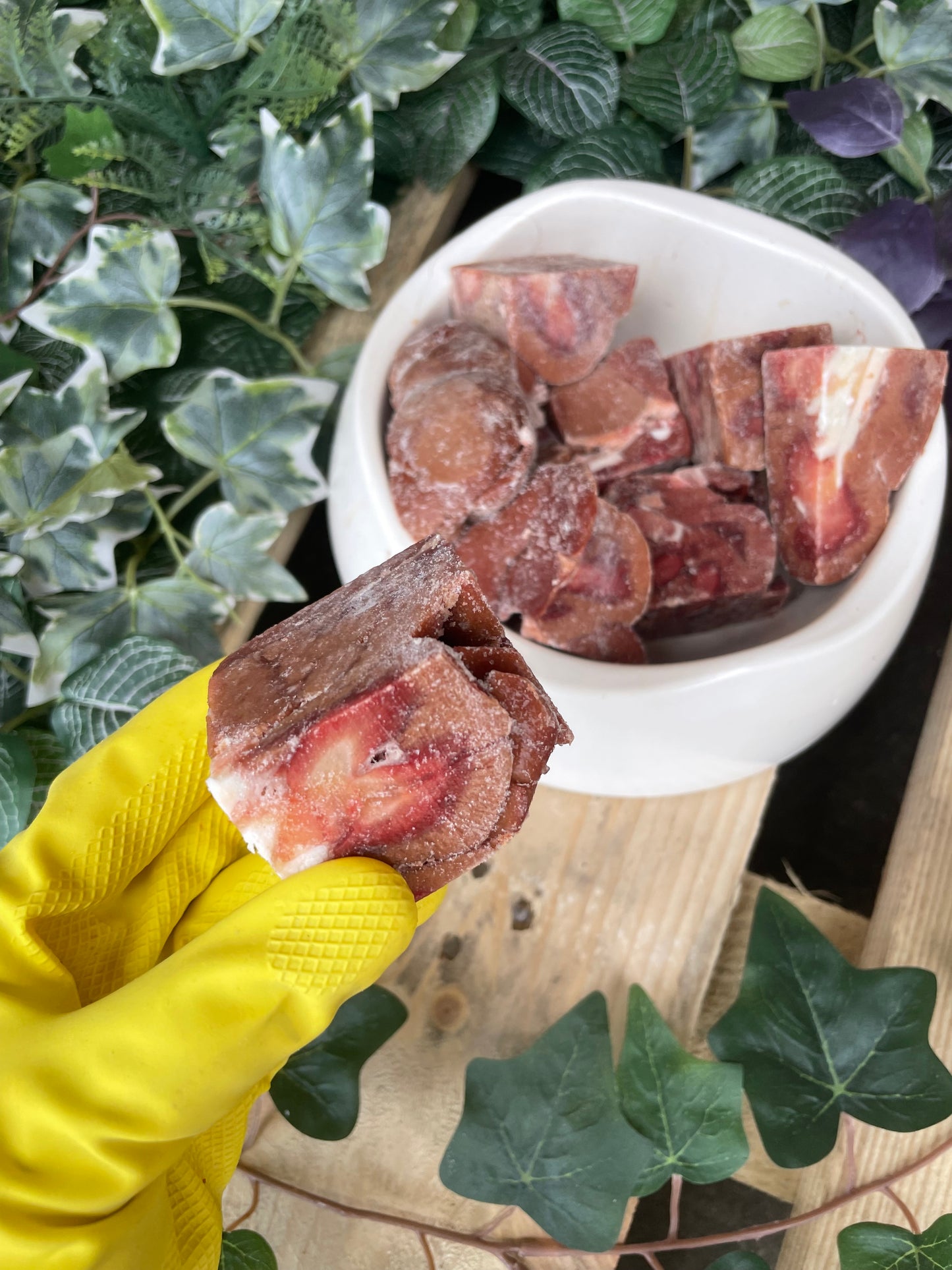 Kidney chunks